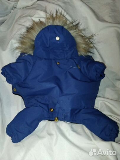 Одежда для маленьких собак новое