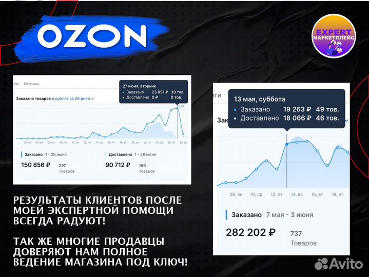 Бизнес на Ozon