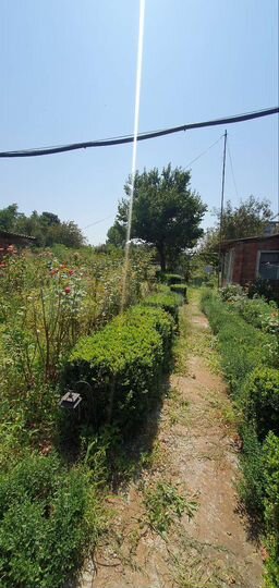 Дом 80 м² на участке 25 сот.