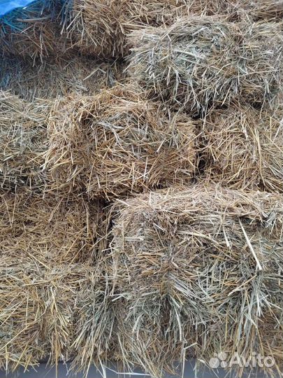 Сено и солома