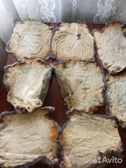 Шкурки ондатры