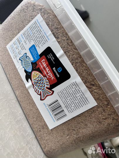 Гаммарус измельченный