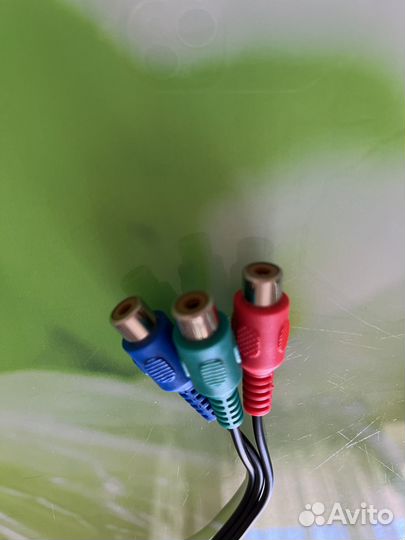 Тюльпаны провода