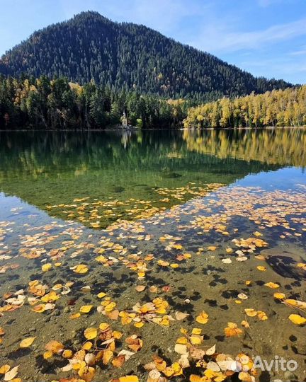 Однодневные поездки