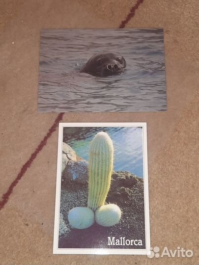 Открытки Майорка, Санта Понса, Алания, Хераклион