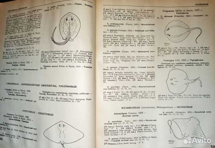 Рассказы о животных