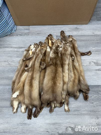 Шкурки куницы