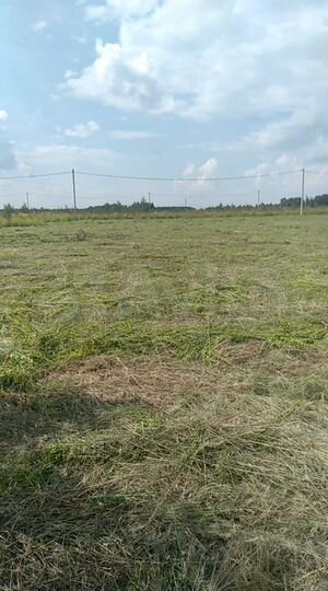Участок 8 сот. (ИЖС)