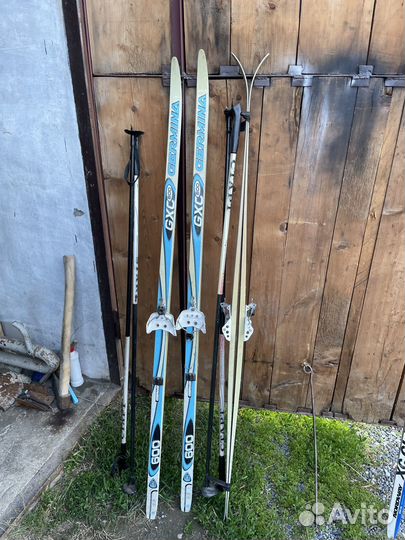 Беговые лыжи