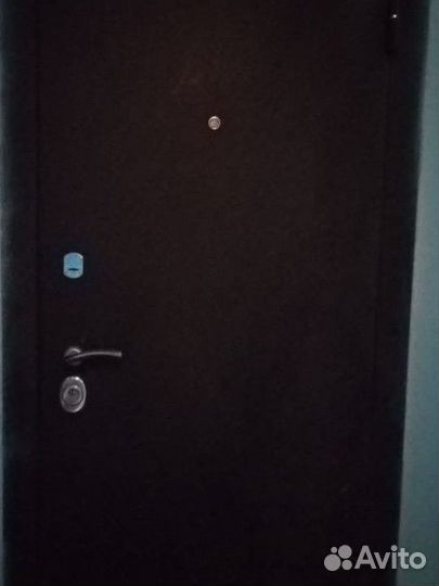 Дверь входная металлическая