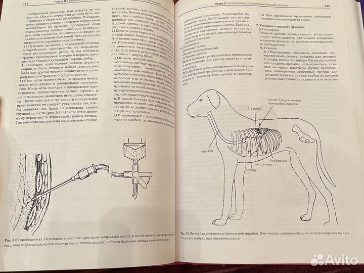 Книга по ветеренарии. Практическое руководсво