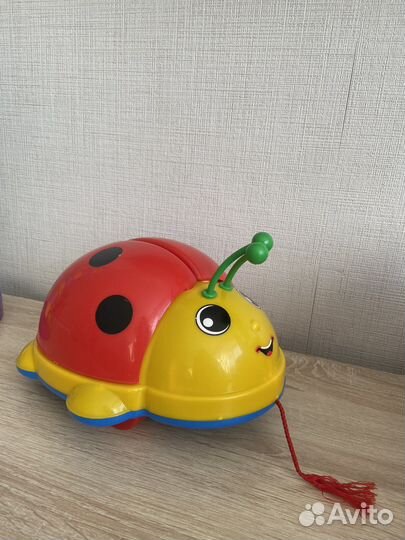 Божья коровка