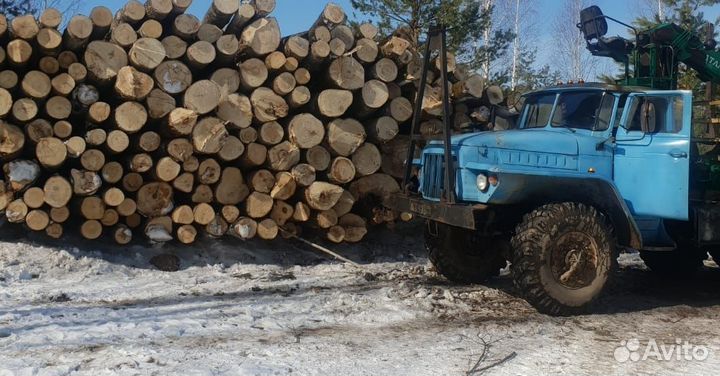 Водитель на Урал лесовоз