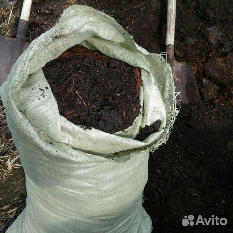 Перегной говяжий, конский