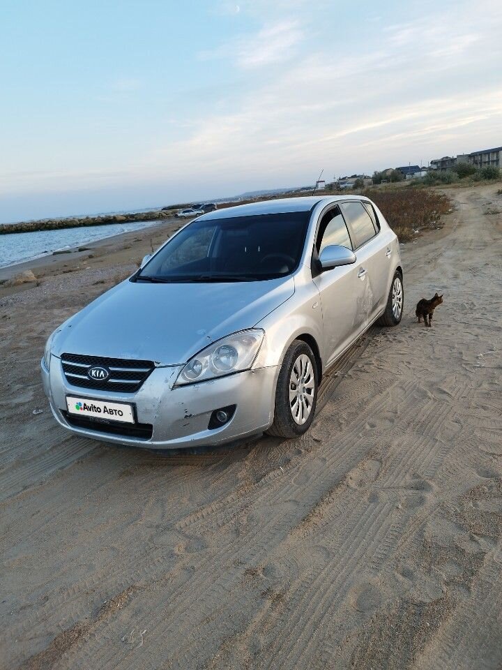 Kia Ceed: фото владельца
