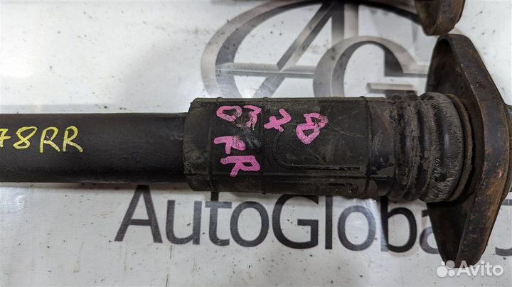 Амортизатор задний Nissan Murano PNZ51 VQ35DE 2008