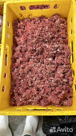 Корм для собак и кошек. Цена на эту неделю