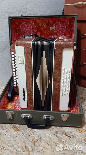 Гармонь Беларусь СССР