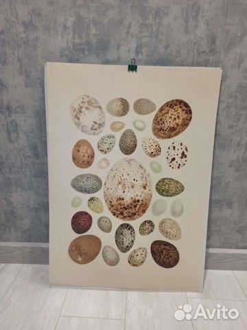 Постеры из IKEA