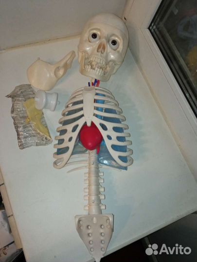 Скелет Артём часть