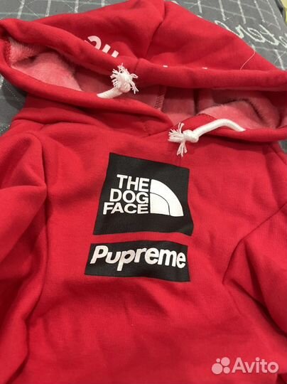 Толстовка для собаки новая