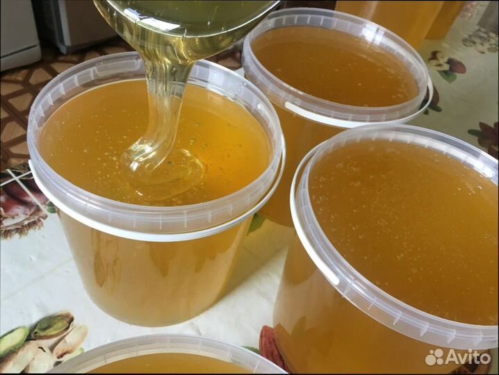 Донниковый Мед оптом