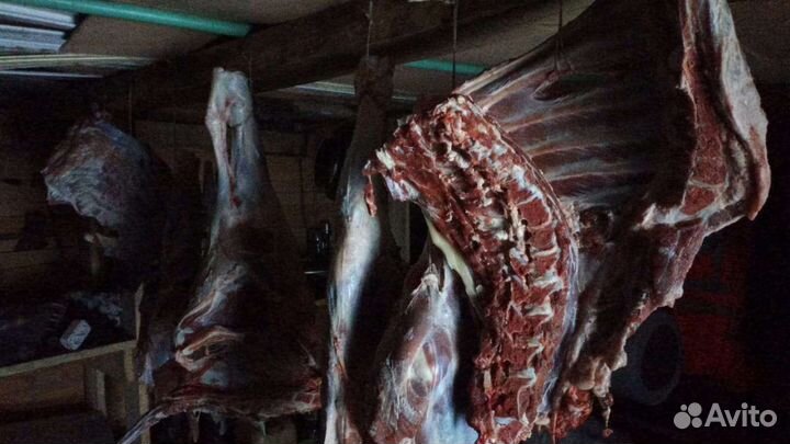 Телятина,говядина,мясо с Башкирии деревни