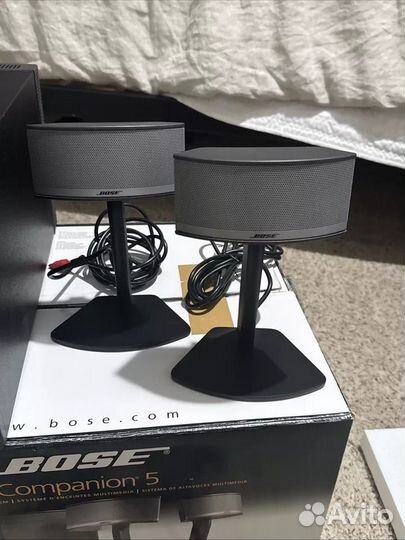 Bose companion 5