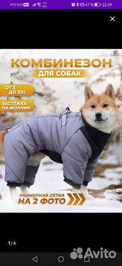 Куртка для собак