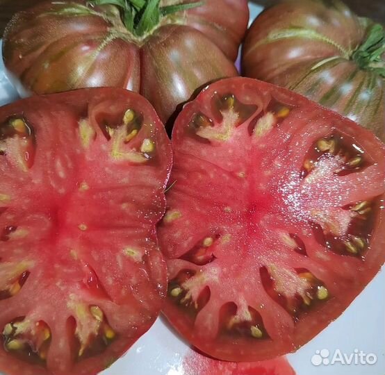 Семена помидоров