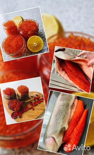 Форель свежая