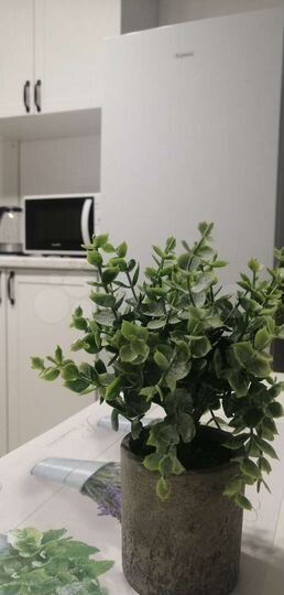 1-к. квартира, 35,5 м², 3/17 эт.