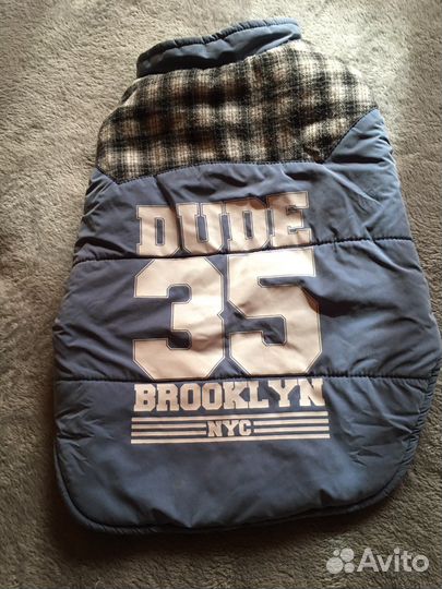 Одежда для собак мелких пород