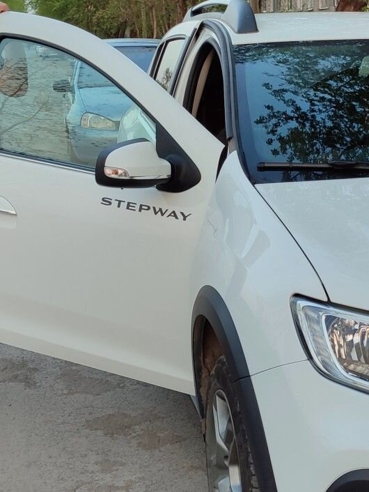 Renault Sandero Stepway: фото владельца