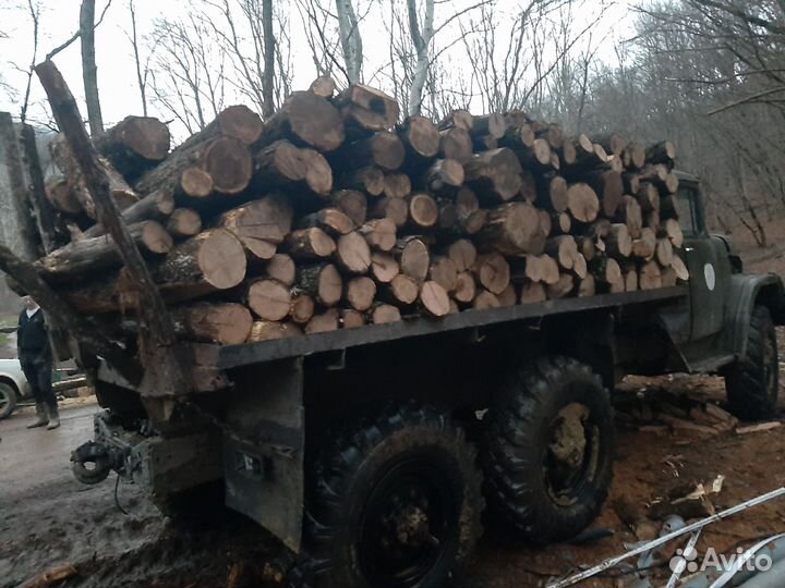 Дрова перегной