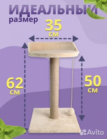 Когтеточка