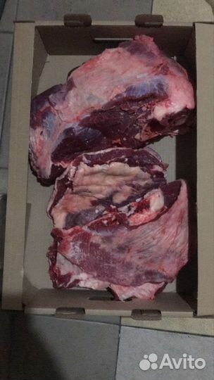 Мясо говядина домашняя