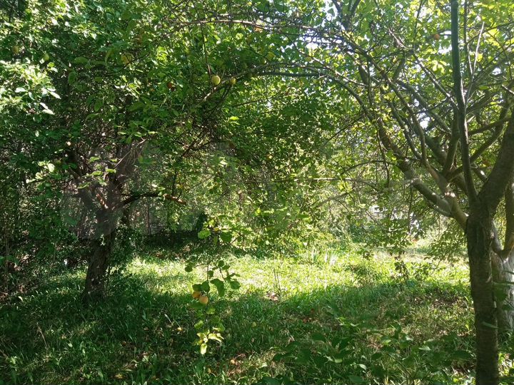 Участок 6,7 га (СНТ, ДНП)