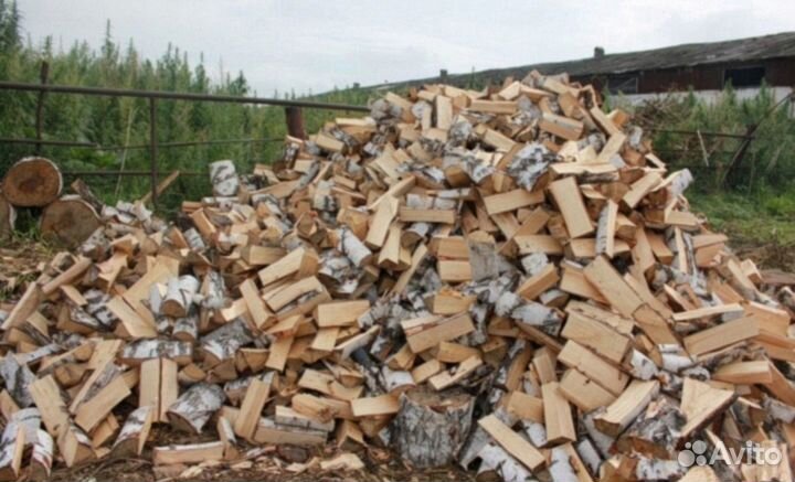 Дрова березовые
