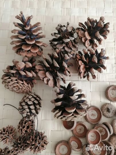 Природные материалы для творчества