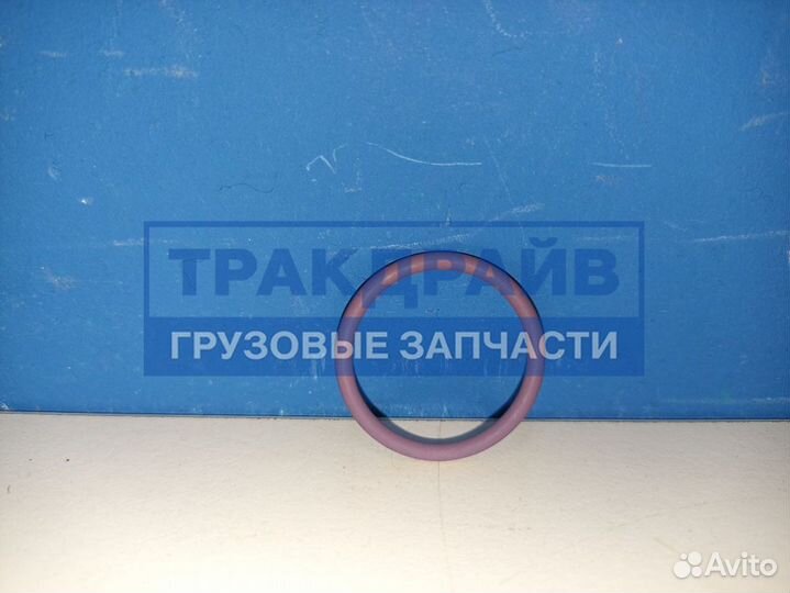 Кольцо уплотнительное форсунки Даф 105