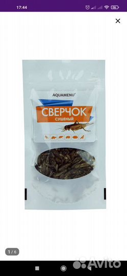 Сверчок сушеный