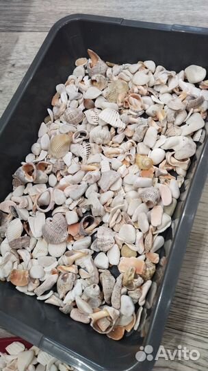 Камешки для аквариума