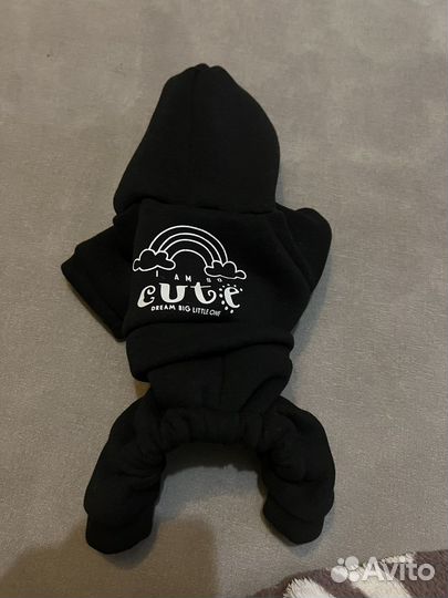 Костюм для маленьких собак