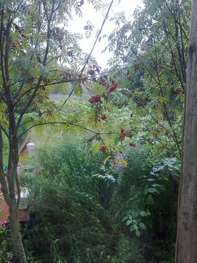 Дача 60 м² на участке 15 сот.