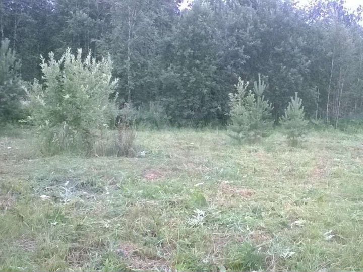 Участок 6 сот. (СНТ, ДНП)