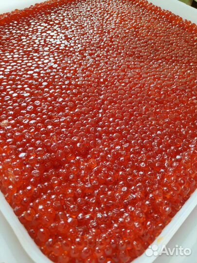 Икра красная кеты