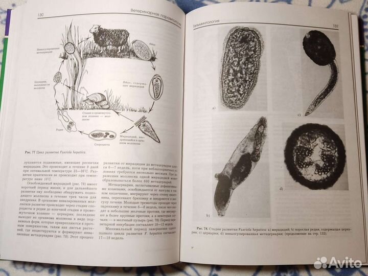Ветеринарная фармакология, паразитология, терапия