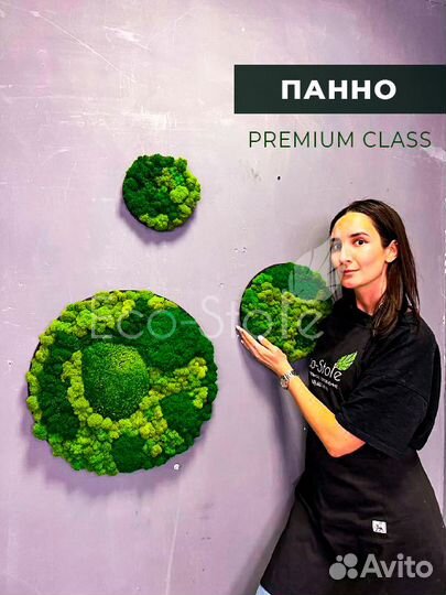 Панно из мха круглое