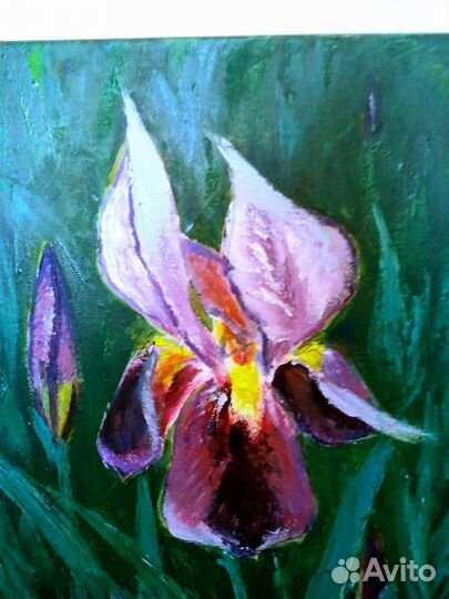 Картина маслом,холст,Ирис